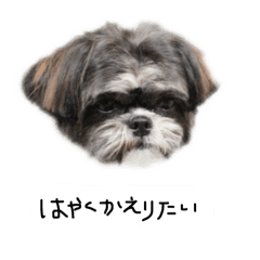 madokin_20251226194143