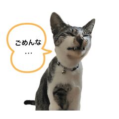 jintan_20251226195228