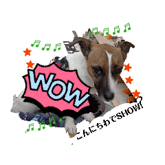 USAKO_20251225114227