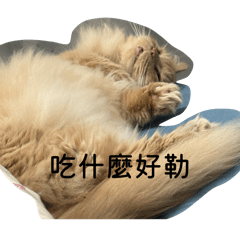 自由路三胖