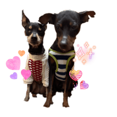 chocolate_20251226185930