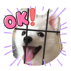 spika_20251226204923