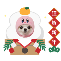 Kasumi_20251226205830