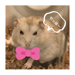 YuiYui_2025122621320