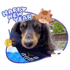 tatumi_20251226231642