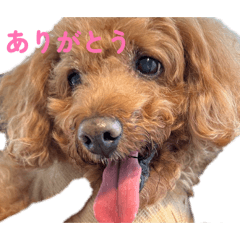 sorajiro_20251226233325