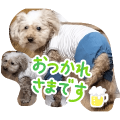 miyoko_20251226230240