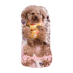 yumehukupapa_20251225151951