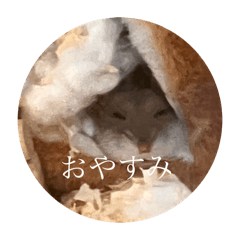 omochi_20251226210315