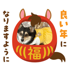 sol mam_20251227001559