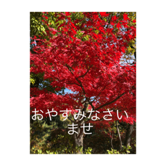 Takashi_20251225160033