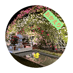 miyuna_20251225194704