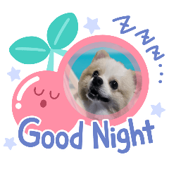 VankohCindy_20251226202417