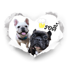 Hachi Goodboy_20251226201255