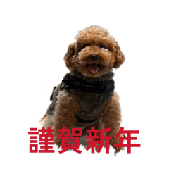 Hayato_20251227074906