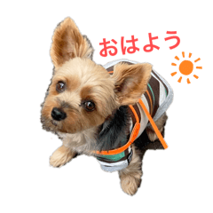 natsumi_20251227073547