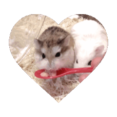 Himmel_20251227123643