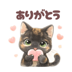 Gentle Tortoiseshell Cat