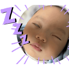 hippo.y_20251227092747