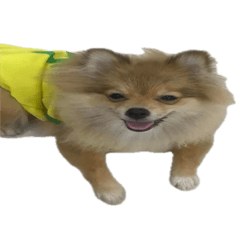 SEINAH_20251226225414