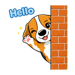 Lala Bagel Dog: Daily talk