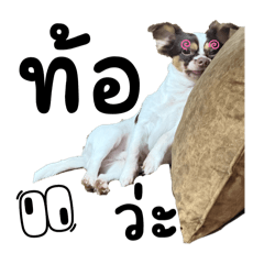 Nanne_20251226235742