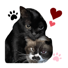 Bamboo_20251227013723