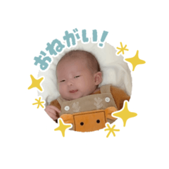 umipi_20251227101141