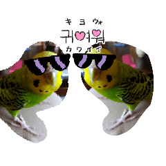 aiokunkun_20251227103302