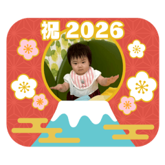 Omits_20251227104600