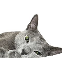 AYANO_20251227104741