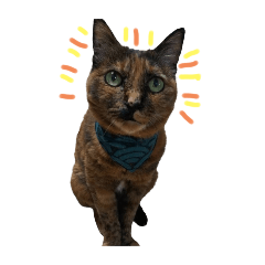 nameco_20251227061145