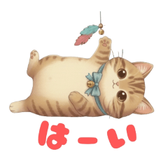 momofuku_design_20251227070342