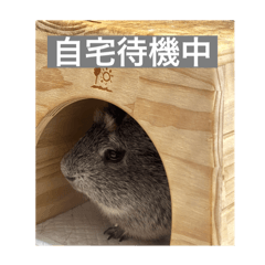 Erika_20251227113148