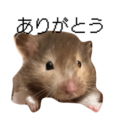 suzuki_20251227090355