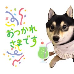 megu-mii_20251227121703