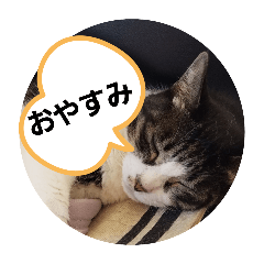 reihana7_20251227121814