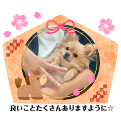 kinao:)_20251227123701