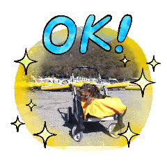 MOANA_20251225210625