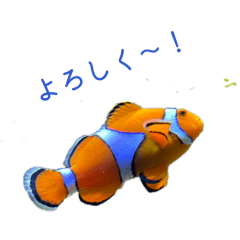 face stamp_20251225224533