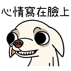 your face says it all