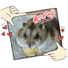 hinako_20251227130256