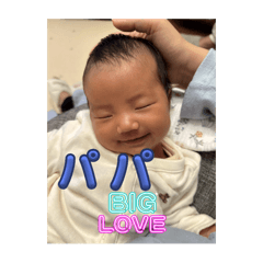 こつまる水産パパ用