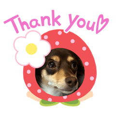 ponta_20251227134843