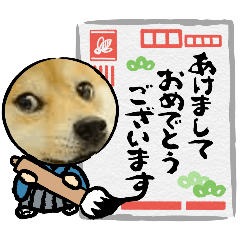 Pusk00000426_20251226092447