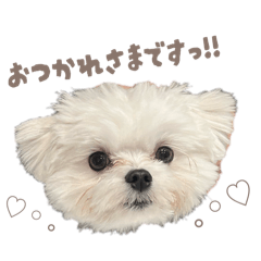 miiiiyk_20251227133848