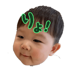 taiga_20251227134104