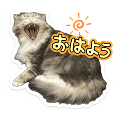 Natsumi_20251227154747