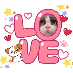 sakura_20251227141553