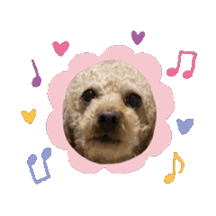 Maron stickers Maron